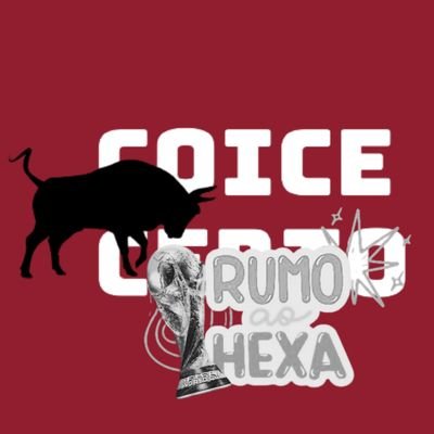 coicecerto_'s profile picture