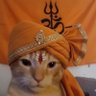 Фото профиля Rishav