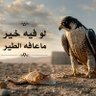 🦅 لو فيه خير ما عافه الطير🦅's profile picture
