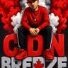 Profilbild von CDNBreeze
