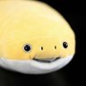Profilbild von Kevin Purdy