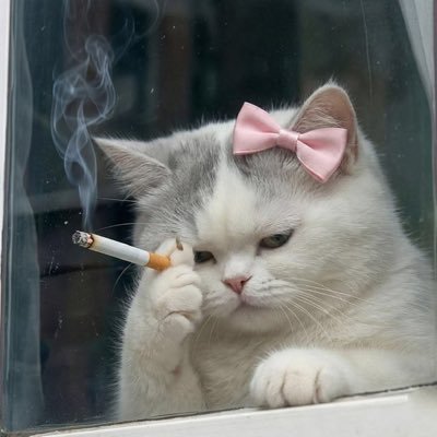 น้ำมนต์'s profile picture