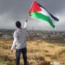 FREE PALESTİNE's profile picture