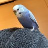 K's profile picture