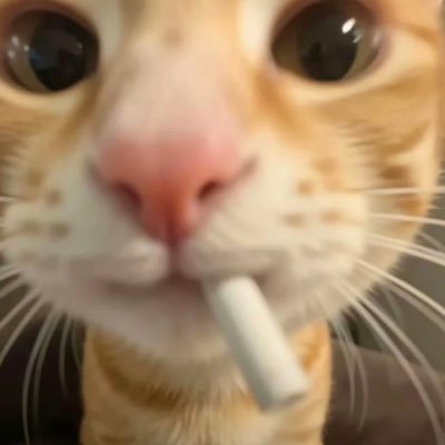 PPology78z's profile picture