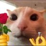 a's profile picture