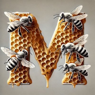 marco_valsesia's profile picture