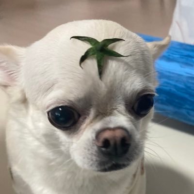 232%'s profile picture