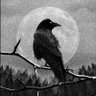 悪夢鴉's profile picture