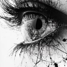 Alphalogic87's profile picture