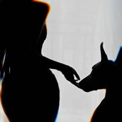 krishpatel1102's profile picture