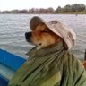 sbubu profil fotoğrafı