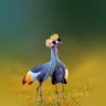 Profilbild von Abraham