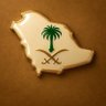 💫Norht Star 🇸🇦 的头像