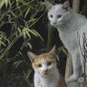 홍 profil fotoğrafı