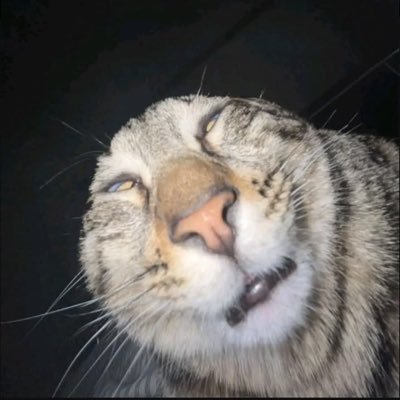 뭐해먹고사냐🫠's profile picture