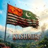 Sohail Nisar 的头像