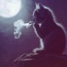 SareT ☿ 🐈⬛ 的头像