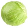 Rudi Ranunkel's profile picture