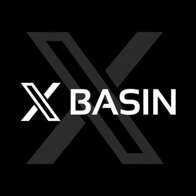 X Basın's profile picture