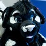 Фото профиля Dusk Dalmatian