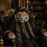 النمر الحكيم's profile picture