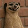 Profilbild von :