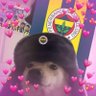 yigit🇹🇷 profil fotoğrafı