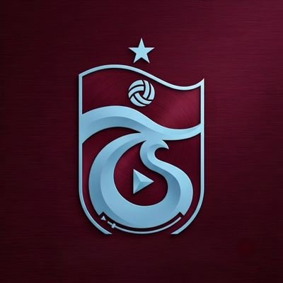 VideoTSpor's profile picture