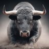 Zizu.thebullguy profil fotoğrafı