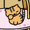 おにぎりねこ's profile picture
