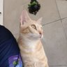 RichBr 的头像