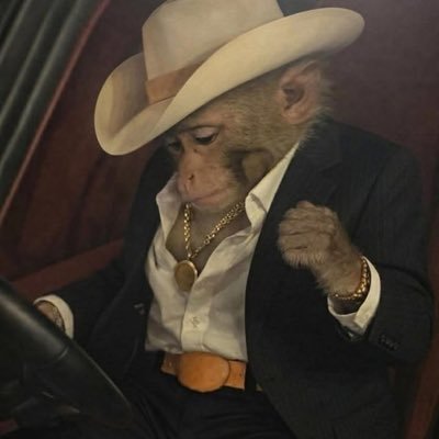 adkinsfight's profile picture