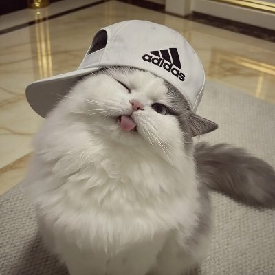 tophe_8's profile picture