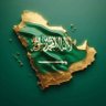 Profilbild von وطني الحبيب 🇸🇦