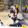 〽️🏒's profile picture