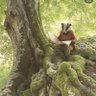 Qυincγ🌱 的头像