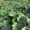 Profilbild von اصبر مفتاح الفرج