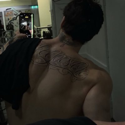 francesc0v0lk0v's profile picture