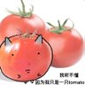 ( ‑ω‑)zzz 的头像