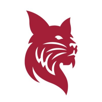 BatesSports's profile picture