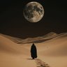 تركي's profile picture