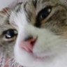 heartursol ̶S̶.̶W̶.̶I̶.̶S̶.̶H̶'s profile picture