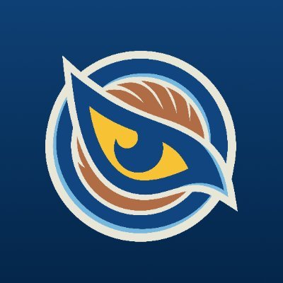 Vancouver Goldeneyes's profile picture