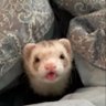 Profilbild von alex