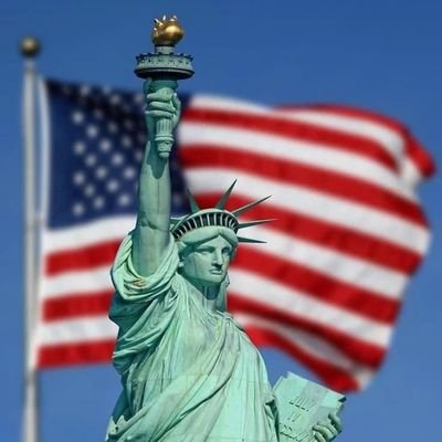 Musk Universe 🇺🇸's profile picture