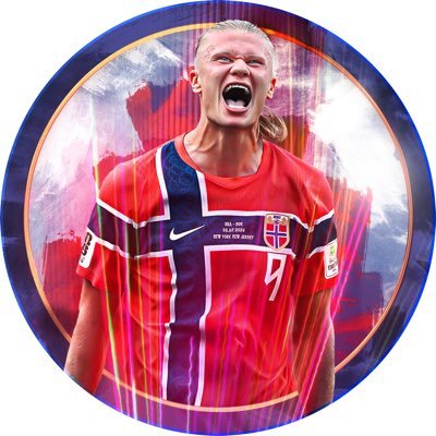 Erling Haaland's profile picture