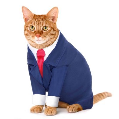 ( )'s profile picture