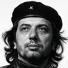 talip kova's profile picture