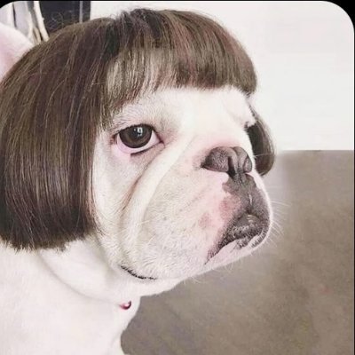 laughbeings's profile picture